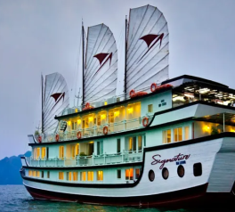 Cruise