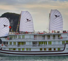 Cruise