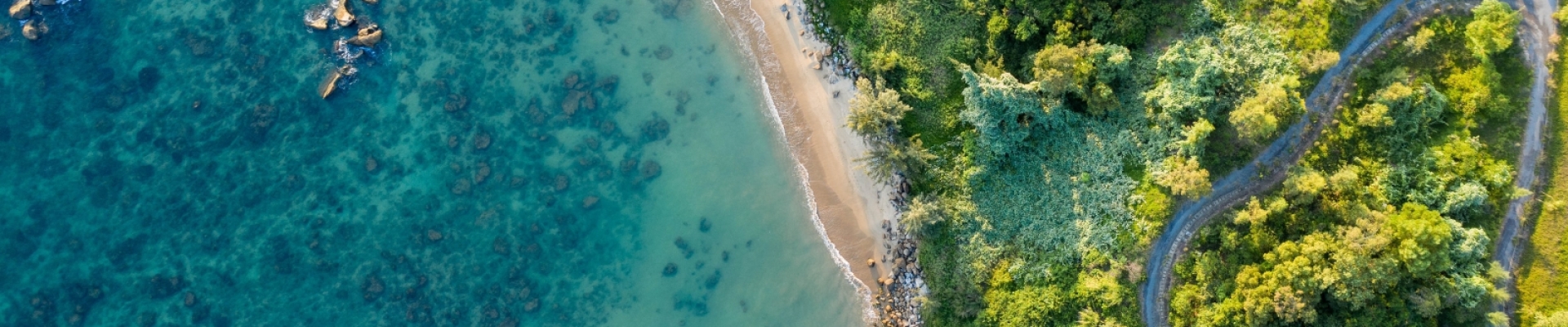 Travel Guide