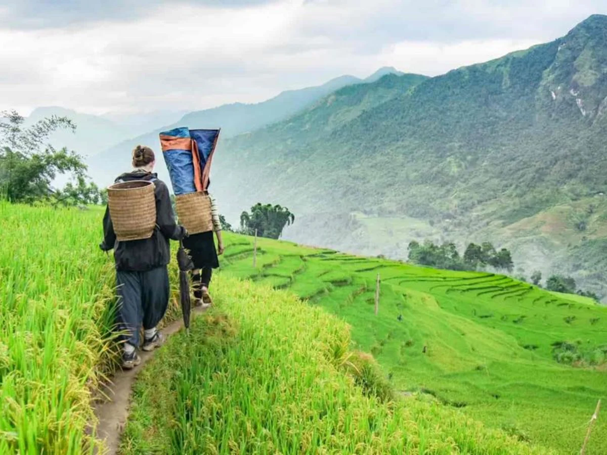 Lao Cai