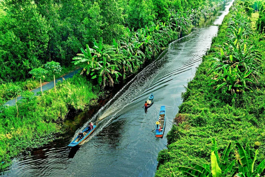 Mekong Delta