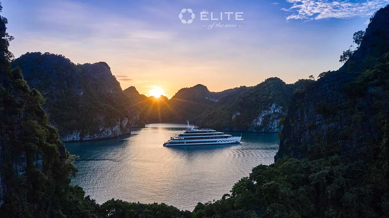 Elite Of The Seas