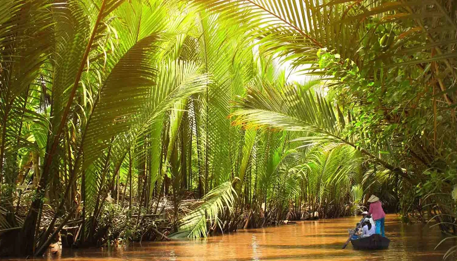 Mekong Delta Cultural Immersion Journey